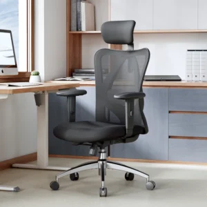 Ergonomic Mesh Office Chair with Adjustable Lumbar Support and Padded Armrests for 300lbs